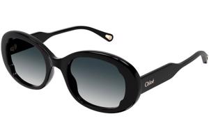 Chloe CH0197S 001 ONE SIZE (53) Fekete Férfi Napszemüvegek