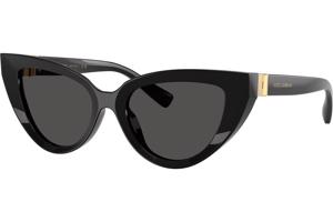 Dolce & Gabbana DG4497 501/87 ONE SIZE (52) Fekete Férfi Napszemüvegek