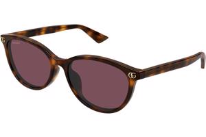 Gucci GG1818SK 002 ONE SIZE (56) Havana Férfi Napszemüvegek