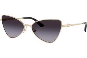 Jimmy Choo JC4015HB 30068G ONE SIZE (57) Arany Férfi Napszemüvegek