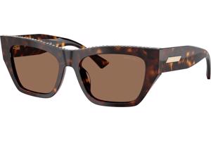 Jimmy Choo JC5035B 500273 ONE SIZE (54) Havana Férfi Napszemüvegek