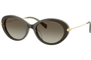 Michael Kors Rockaway MK2245U 40193M ONE SIZE (53) Zöld Férfi Napszemüvegek