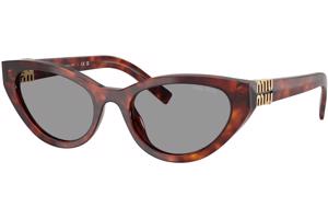 Miu Miu MUA04S 21C40O ONE SIZE (54) Havana Férfi Napszemüvegek