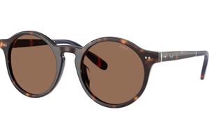 Polo Ralph Lauren PH4204U 567373 M (50) Havana Női Napszemüvegek