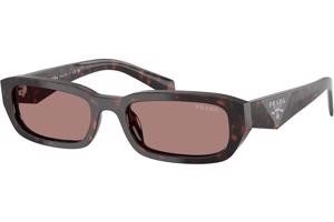 Prada PRB06S 17N60B ONE SIZE (53) Havana Férfi Napszemüvegek