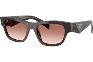 Prada PRB09S 17N50L M (52) Havana Férfi Napszemüvegek