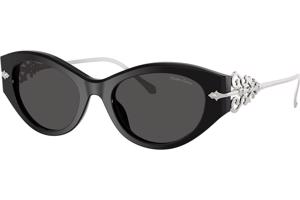 Ralph Lauren RL8227U 500187 ONE SIZE (52) Fekete Férfi Napszemüvegek