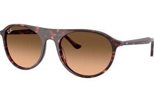 Ray-Ban RB2215 14293B L (59) Havana Unisex Napszemüvegek