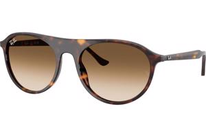 Ray-Ban RB2215 902/51 L (59) Havana Unisex Napszemüvegek