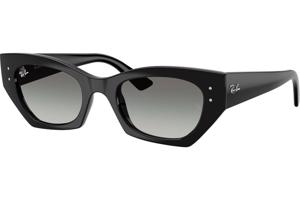 Ray-Ban RB4430 667711 L (52) Fekete Unisex Napszemüvegek