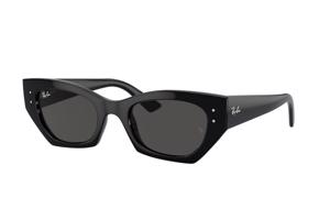 Ray-Ban RB4430 667787 L (52) Fekete Unisex Napszemüvegek