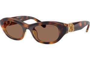 Swarovski SK6036U 100273 ONE SIZE (50) Havana Férfi Napszemüvegek